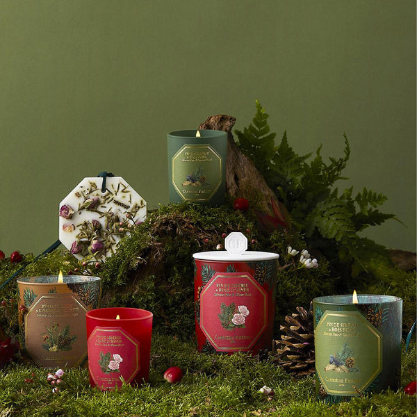 Siberian Pine & Candied Ginger 西伯利亞松柏與薑蜜餞 香薰蠟燭 2023年聖誕版