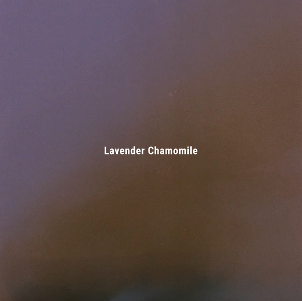 INCENSE STICKS / Lavender Chamomile 薰衣草洋甘菊線香