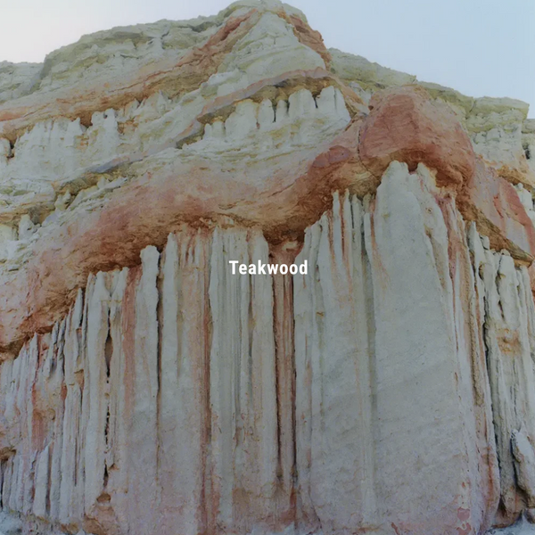 INCENSE STICKS / Teakwood 柚木線香