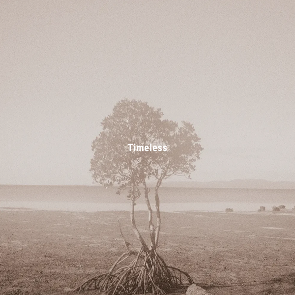 INCENSE STICKS / Timeless 洋甘菊線香