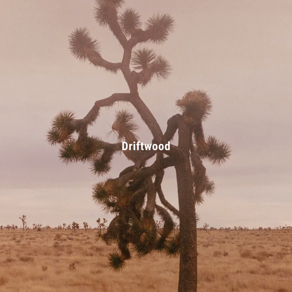 INCENSE STICKS / Driftwood 浮木線香