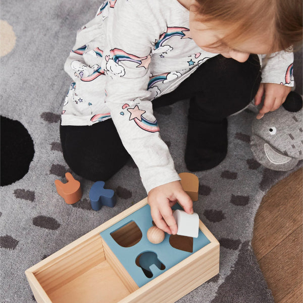 Wooden Puzzle Box 小孩學習積木 OYOY