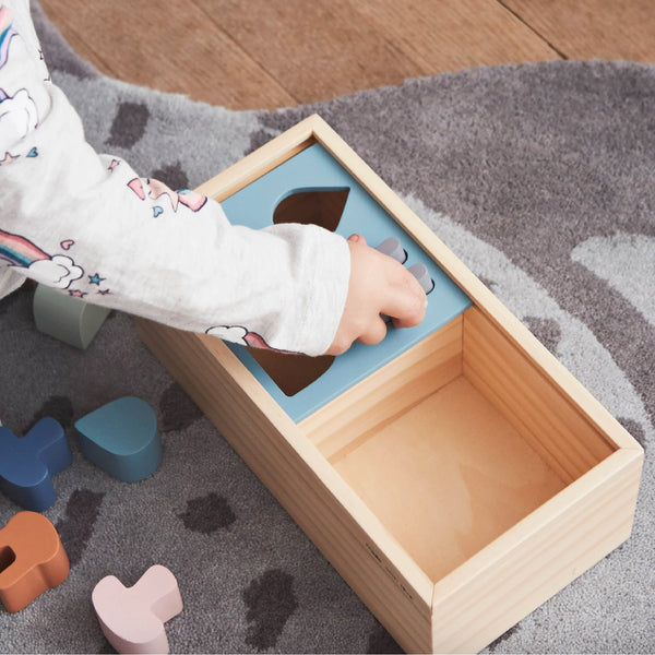 Wooden Puzzle Box 小孩學習積木 OYOY