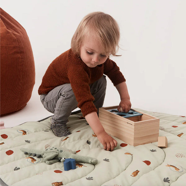 Wooden Puzzle Box 小孩學習積木 OYOY