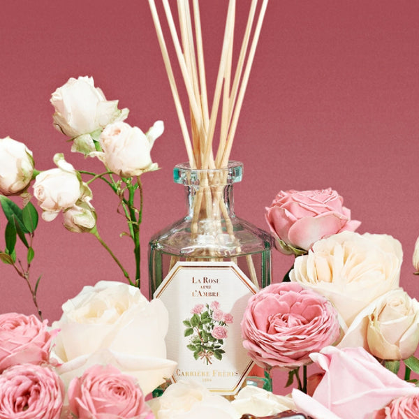 Carriere Freres La Rose Aime L’ambre Diffuser