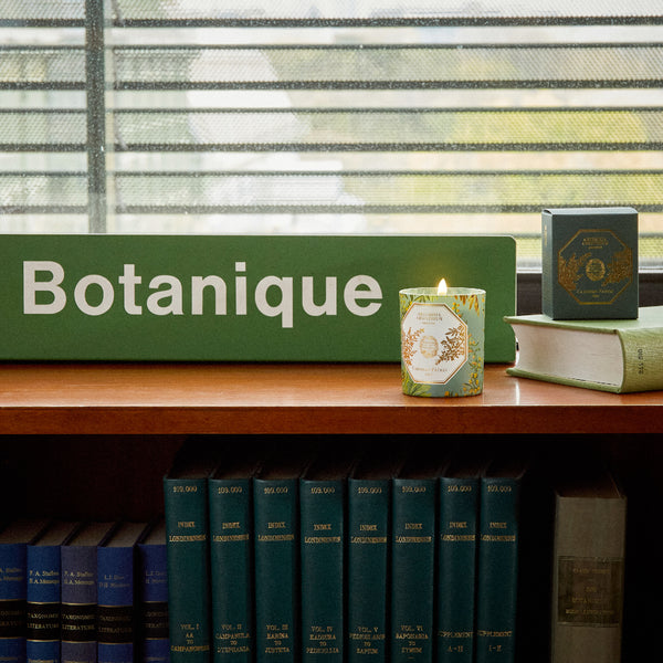 ARTEMISIA ABSINTHIUM Candle 苦艾香氛蠟燭 2022博物館限量版 Carriere Freres