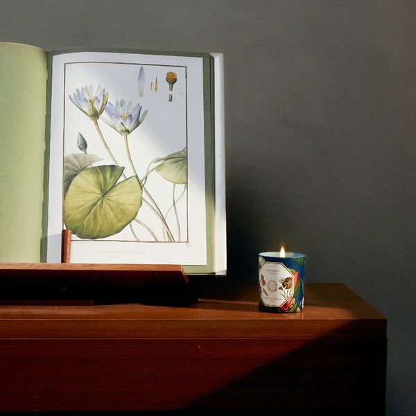 NYMPHAEA Candle 睡蓮香氛蠟燭 2022博物館限量版 Carriere Freres