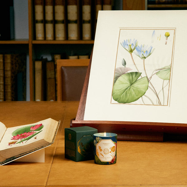 NYMPHAEA Candle 睡蓮香氛蠟燭 2022博物館限量版 Carriere Freres