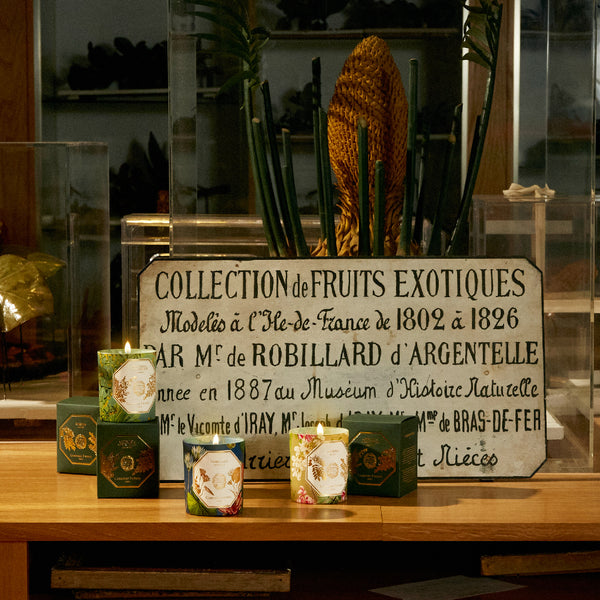 ROBINIA Candle 刺槐香氛蠟燭 2022博物館限量版 Carriere Freres