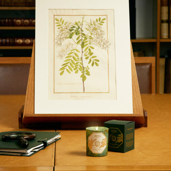 ARTEMISIA ABSINTHIUM Candle 苦艾香氛蠟燭 2022博物館限量版 Carriere Freres