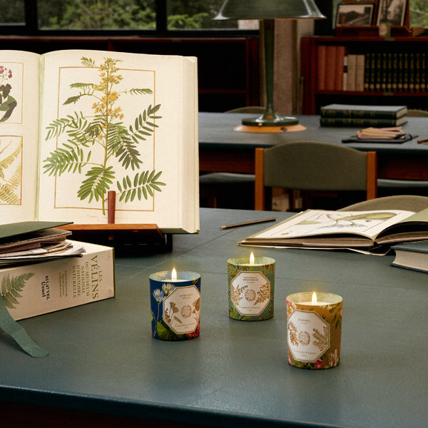 ARTEMISIA ABSINTHIUM Candle 苦艾香氛蠟燭 2022博物館限量版 Carriere Freres