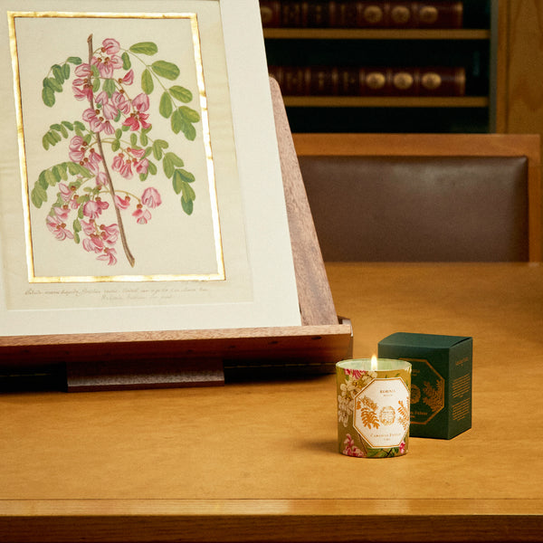 ROBINIA Candle 刺槐香氛蠟燭 2022博物館限量版 Carriere Freres