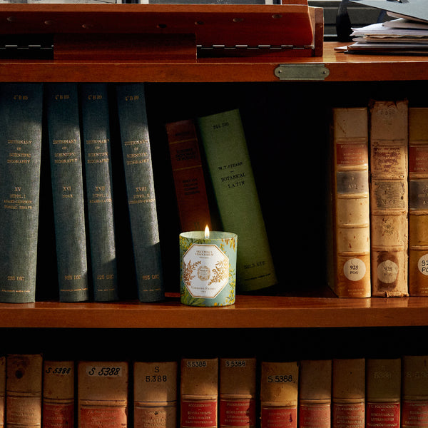 ARTEMISIA ABSINTHIUM Candle 苦艾香氛蠟燭 2022博物館限量版 Carriere Freres