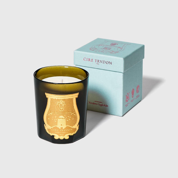 Ernesto Candle 西柚 橡木 煙草香薰蠟燭 270g Trudon