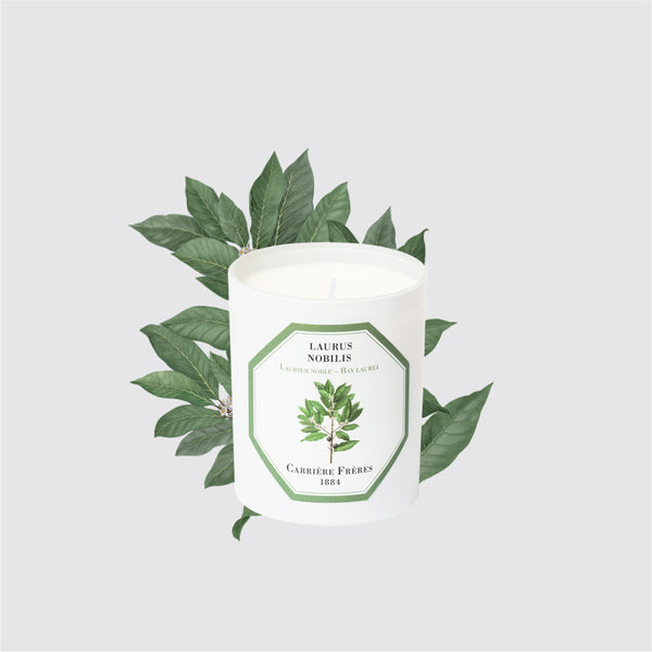 Carriere Freres Bay Laurel Candle