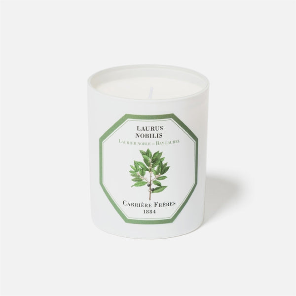 Carriere Freres Bay Laurel Candle