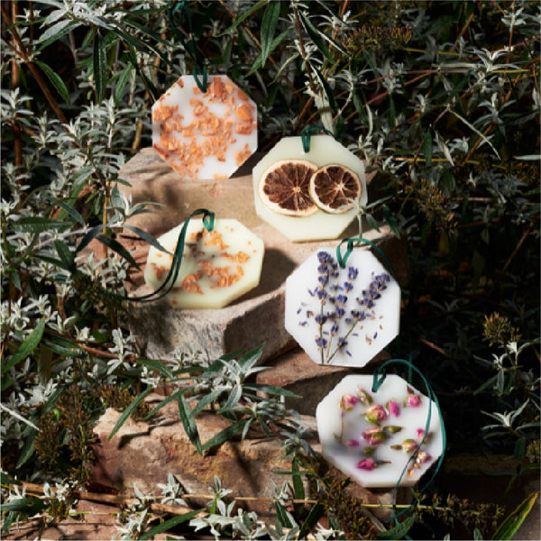 Carriere Freres Botanical Palets LAVENDER