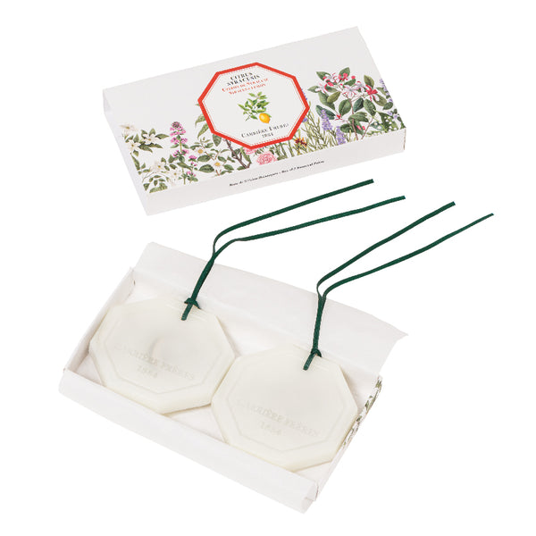 Carriere Freres Botanical Palets SIRACUSA LEMON