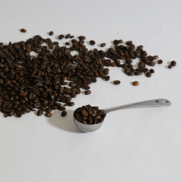 Glocal Standard Product TSUBAME Coffee Measuring Spoon