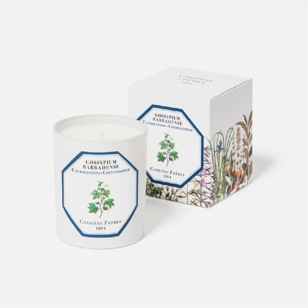 Carriere Freres Cotton Flower Candle