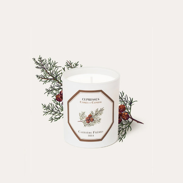 Cypress Candle 絲柏香薰蠟燭 Carriere Freres