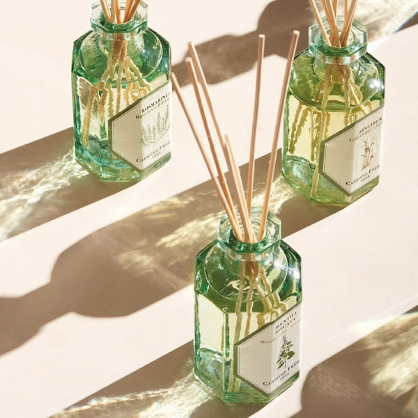 Carriere Freres Spearmint Diffuser