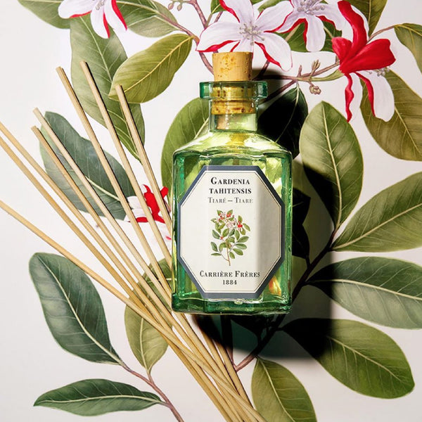 Carriere Freres Tiare Diffuser