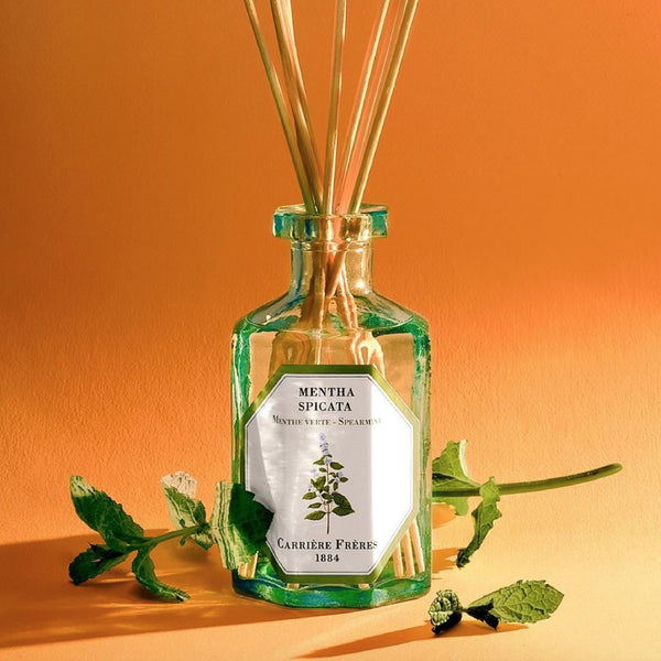 Carriere Freres Spearmint Diffuser