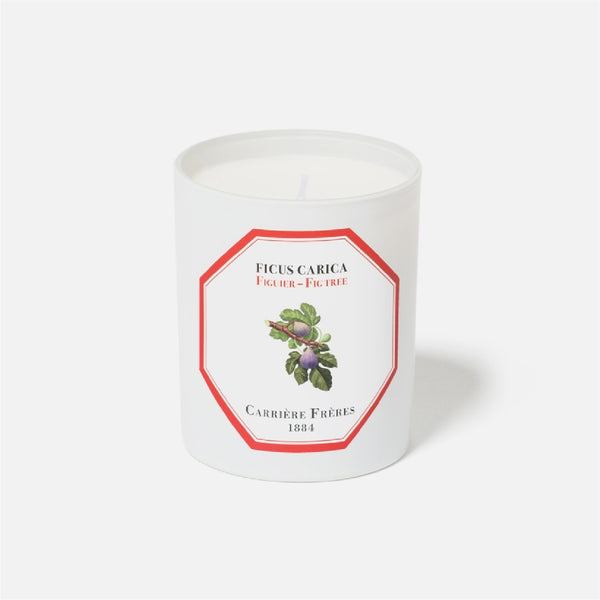 Carriere Freres Fig Tree Candle