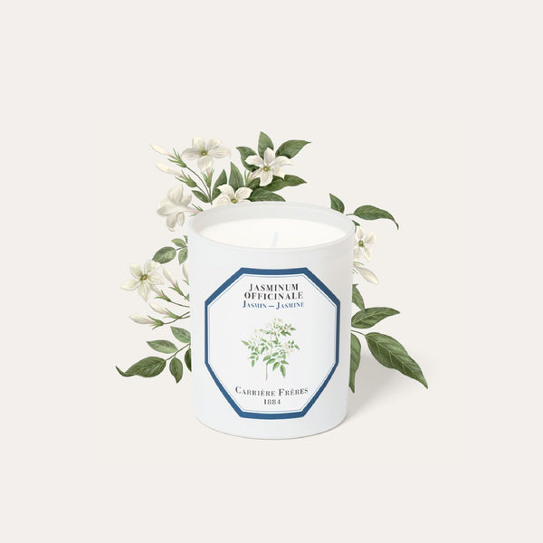 Jasmine Candle 茉莉香薰蠟燭 Carriere Freres