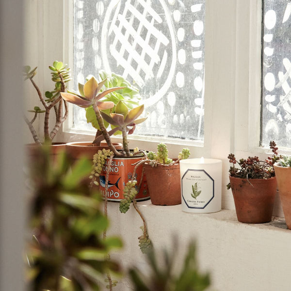 Lily of The Valley Candle 鈴蘭香薰蠟燭 Carriere Freres