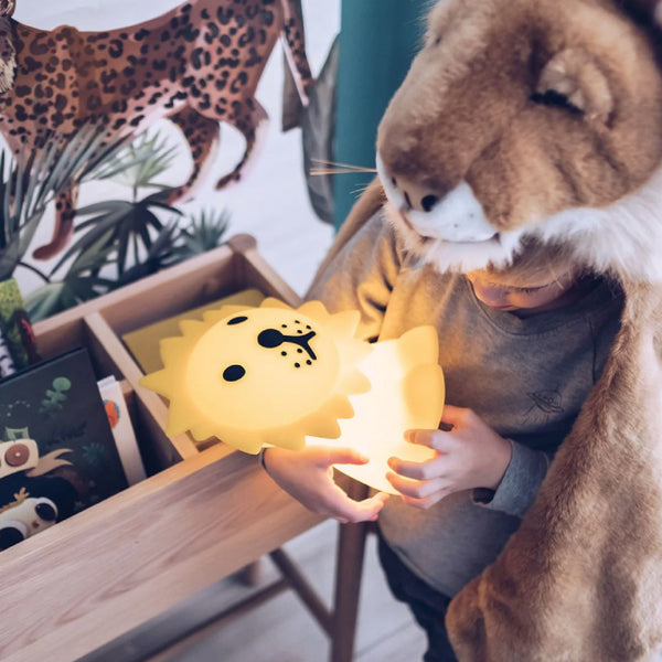 Lion First Light Mr Maria