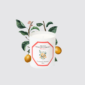 Carriere Freres MIRABELLE Candle 黃香李香薰蠟燭