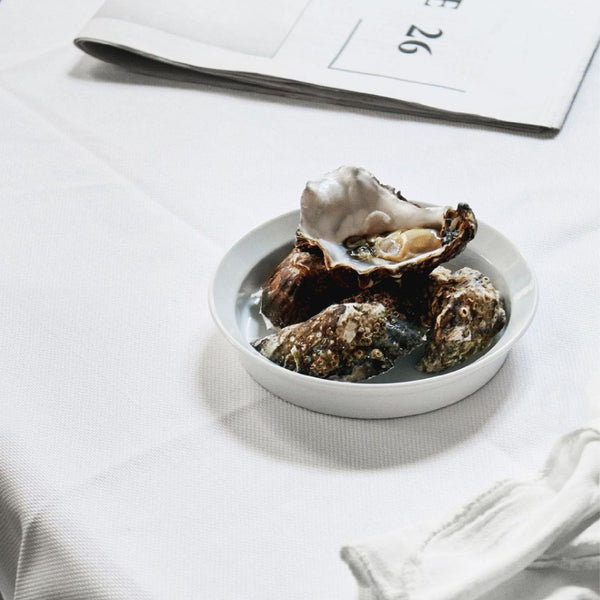 TY Round Plate White 有田燒深餐碟 1616 / arita japan