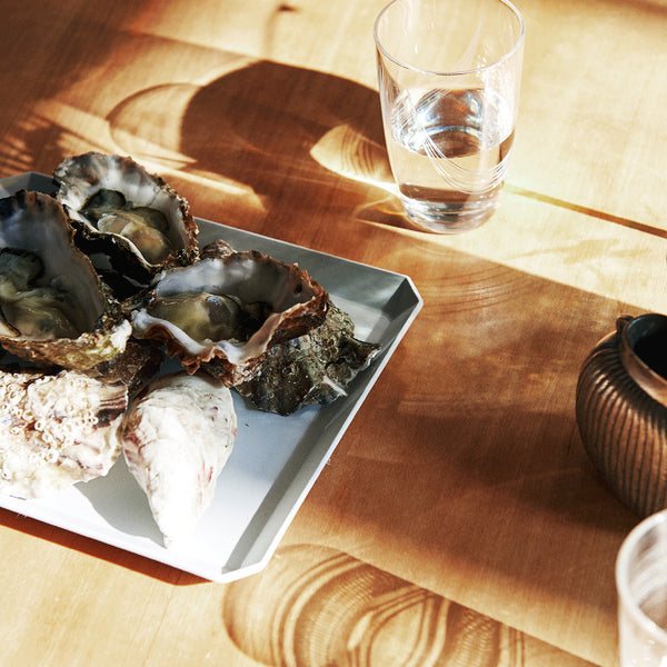 TY Square Plate Gray 有田燒餐碟 1616 / arita japan