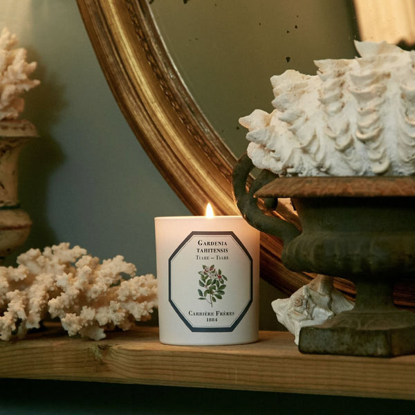 Tiare Candle 梔子花香薰蠟燭 Carriere Freres