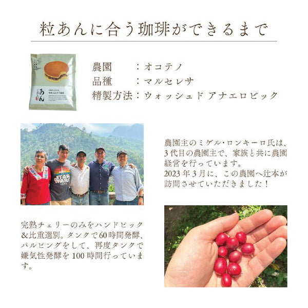 紅豆菓子時刻系列掛耳咖啡 - 辻本珈琲 ( 一套兩款4包 )