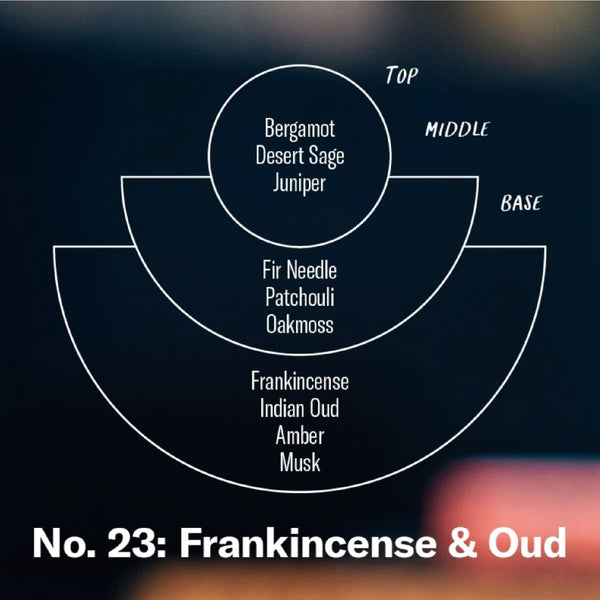 Frankincense & Oud Candle 2023 聖誕限量版香薰蠟燭