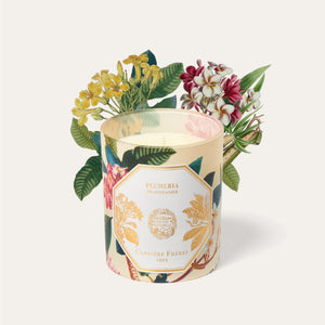 FRANGIPANI Candle 緬梔花香氛蠟燭 2024博物館限量版