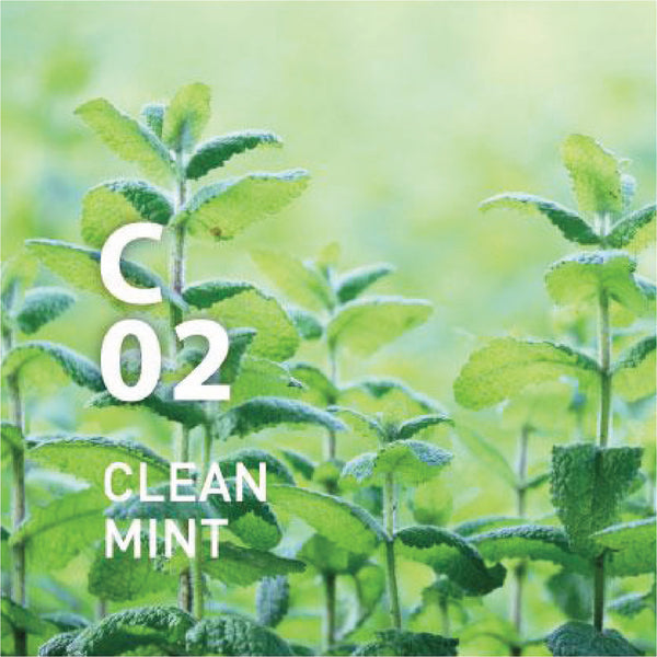 C02 薄荷純天然精油 - Clean Air 淨化系列