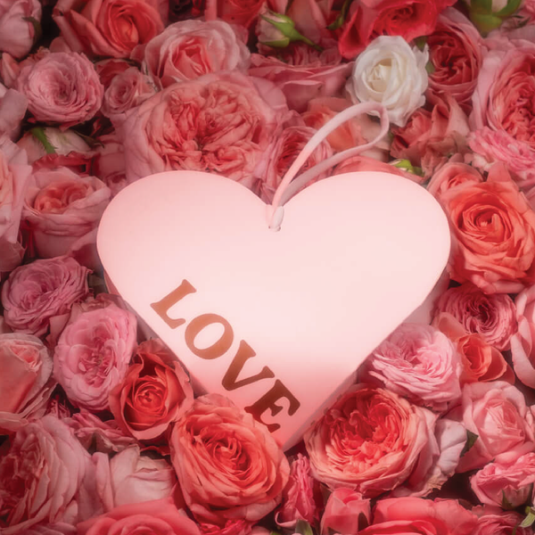 Love Edition Fragrance 香薰掛飾