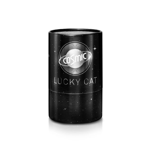 Lucky Cat Cosmic Edition Mercury - Shiny Silver 星球系列幸運招財貓 - 水星
