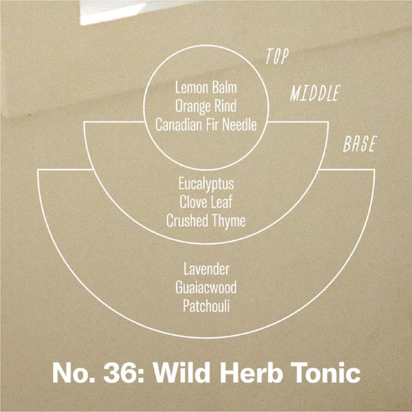 No.36 Wild Herb Tonic Incense Sticks 草本香氣香薰蠟燭 P. F. Candle Co.