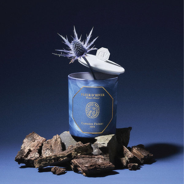 Winter Flower Candle 冬日花香 - 2024 冬季限量版