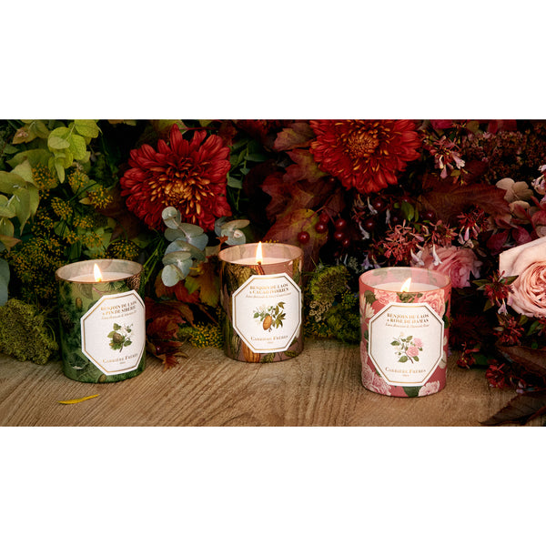 Benzoin and Cacao Scented Candle