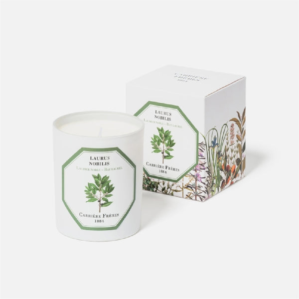 Carriere Freres Bay Laurel Candle