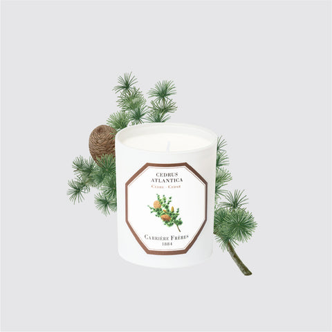 Carriere Freres Cedar Candle