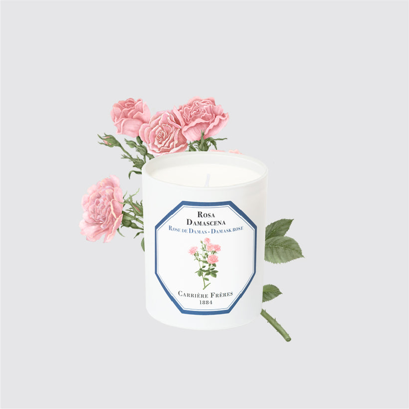 Candle