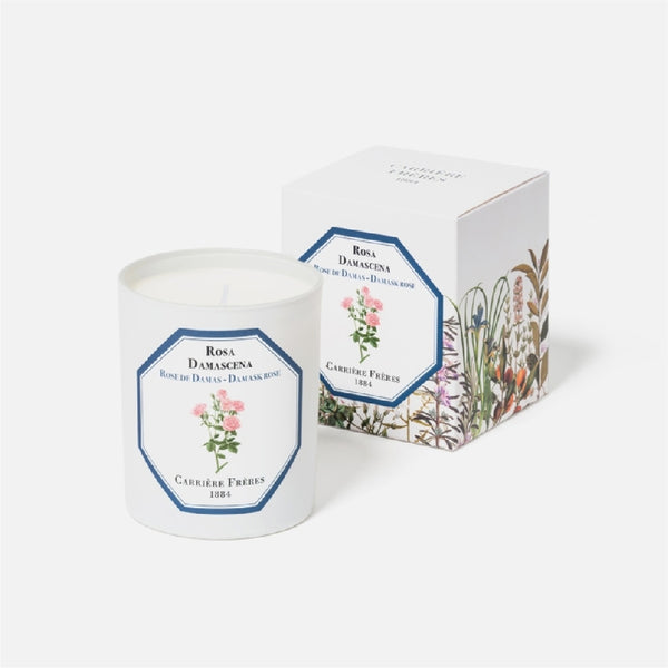 Carriere Freres Damask Rose Candle
