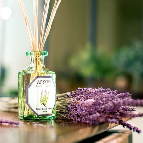 Carriere Freres Lavender Diffuser